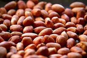 Maní crudo con piel